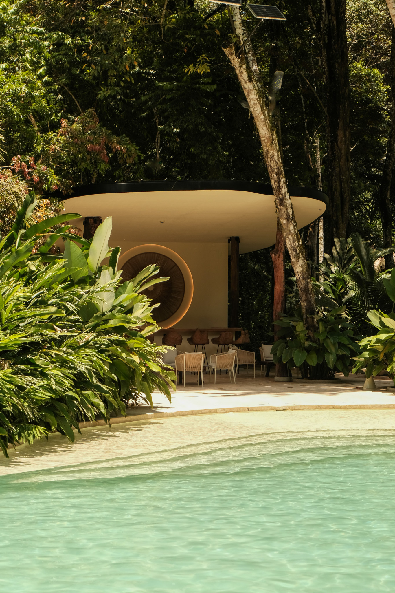 Copia de DSCF2005 (1).jpg