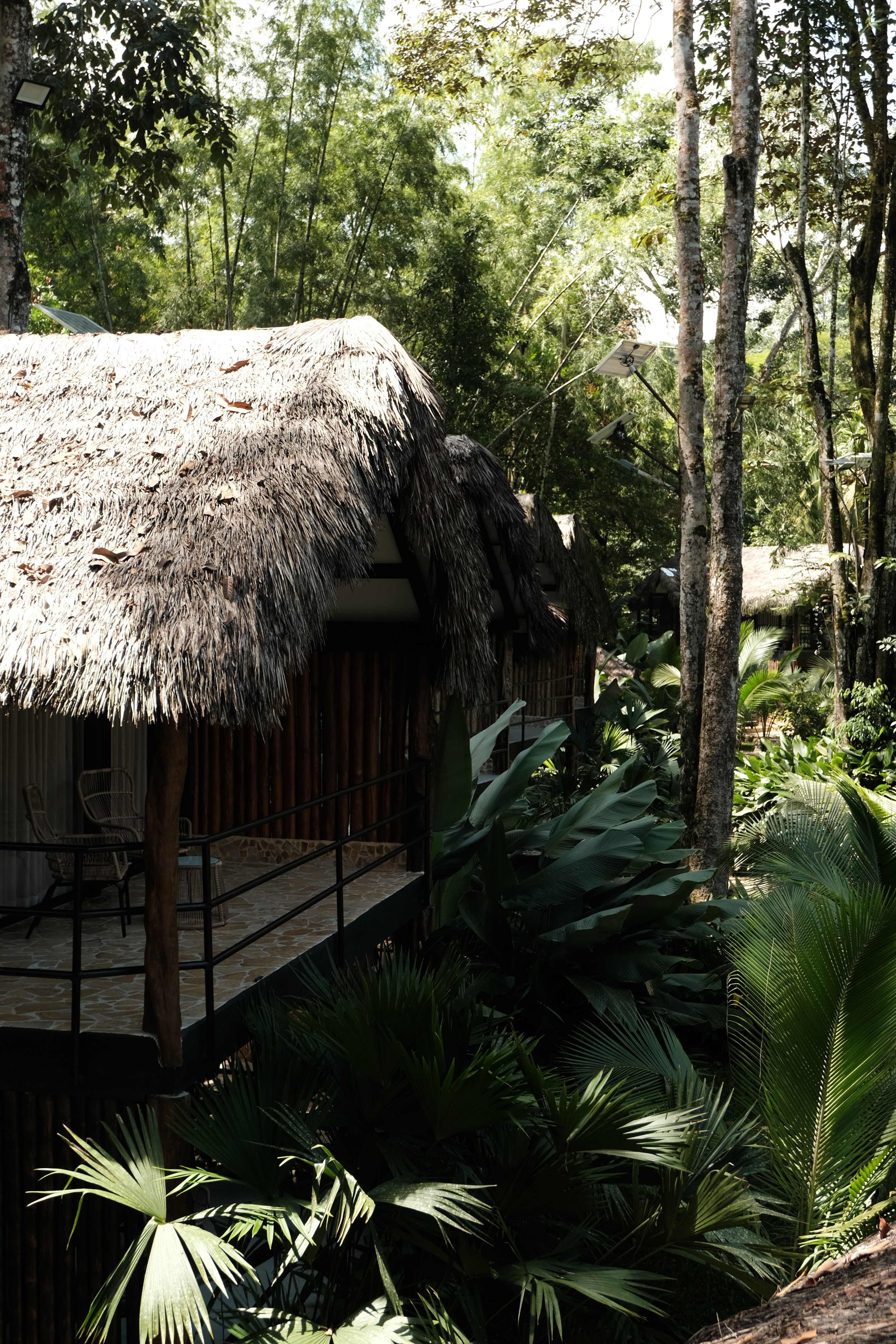 Isla Clara Hero Background