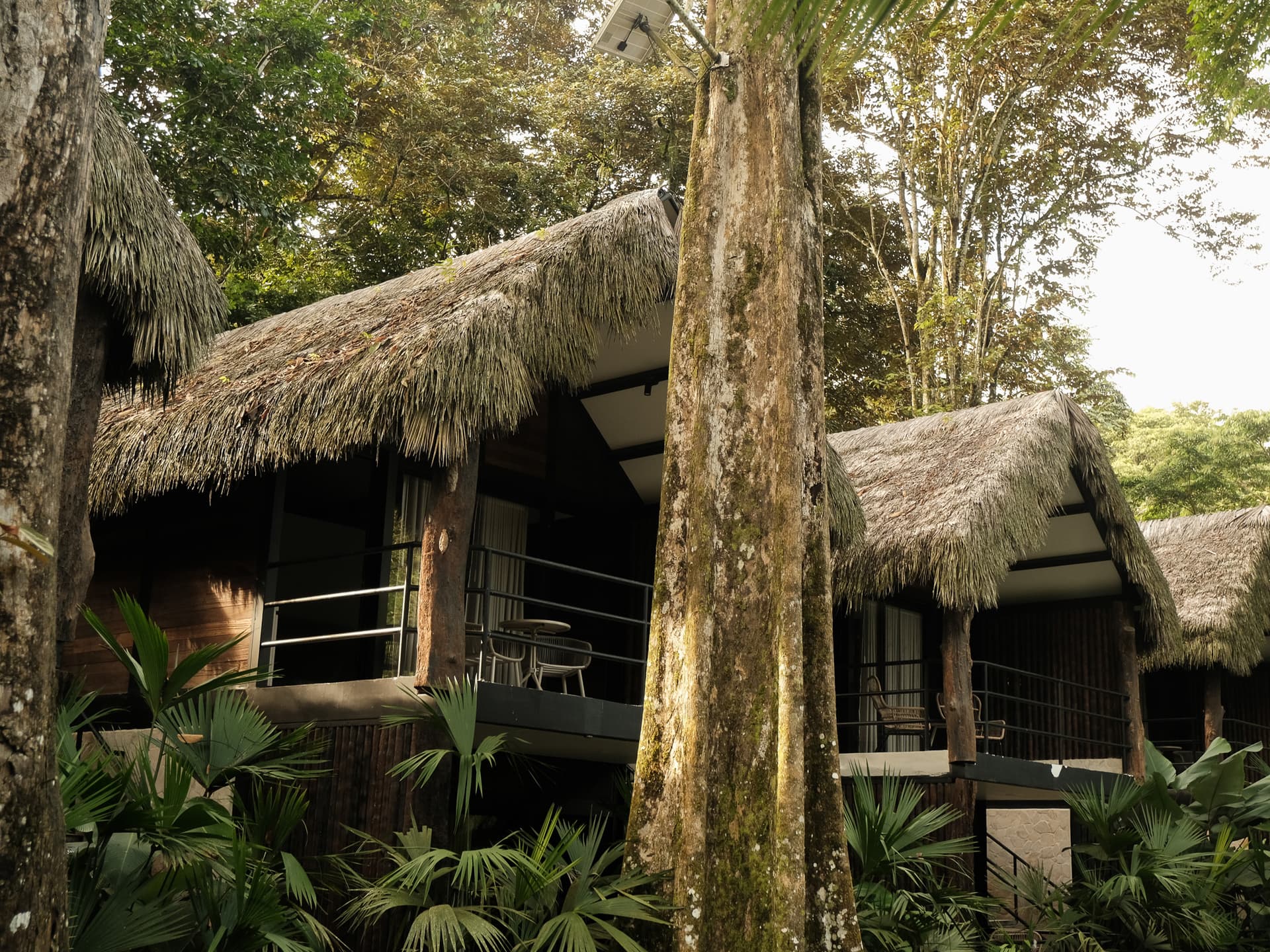 Copia de DSCF1716.jpg